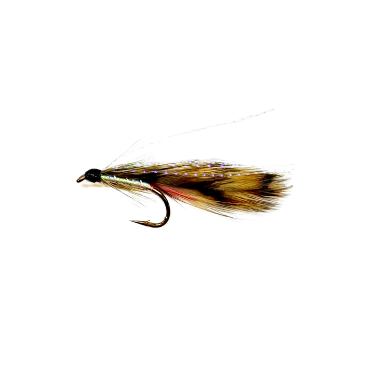 Pat Swift Green Orbit (x6)