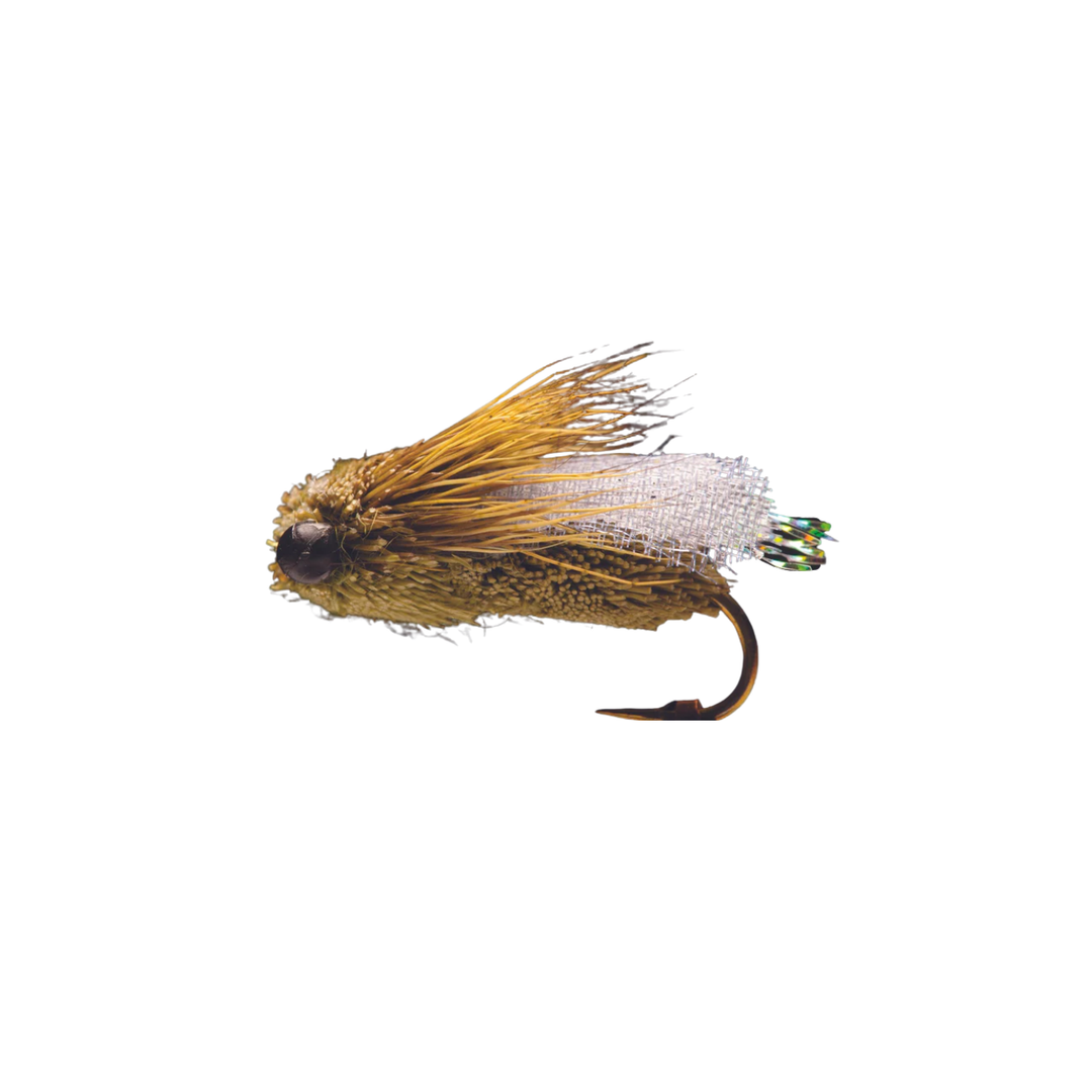 Classic Cicada - Olive #8 - Manic Fly Collection