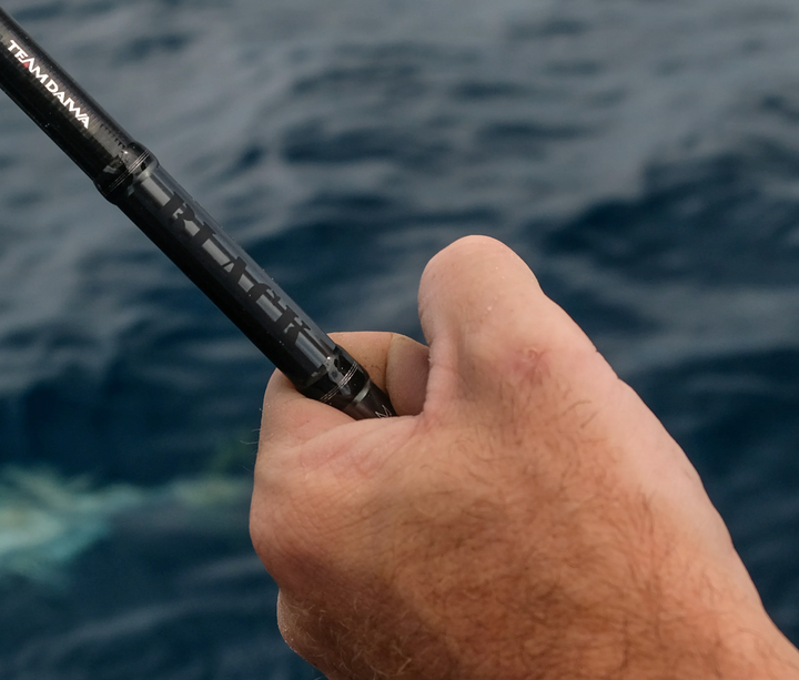 Daiwa TD Black IV Canal Monster 8'6 / TD Black 2500 Spin Combo