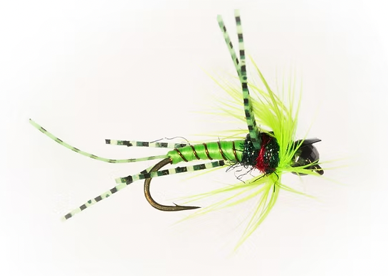 Category 3 Fly Company - Doshed Up