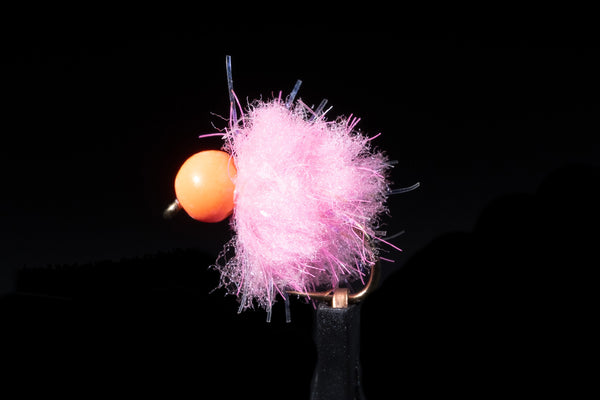 Manic Fly - OTB Eggstasy Egg (1/2 DOZEN)