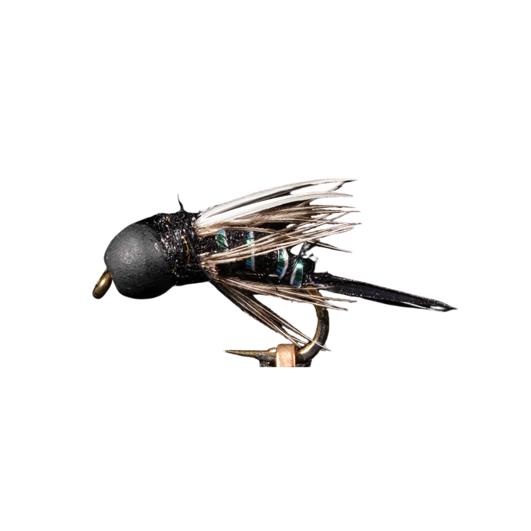 Prince of Darkness #14 - Manic Fly Collection