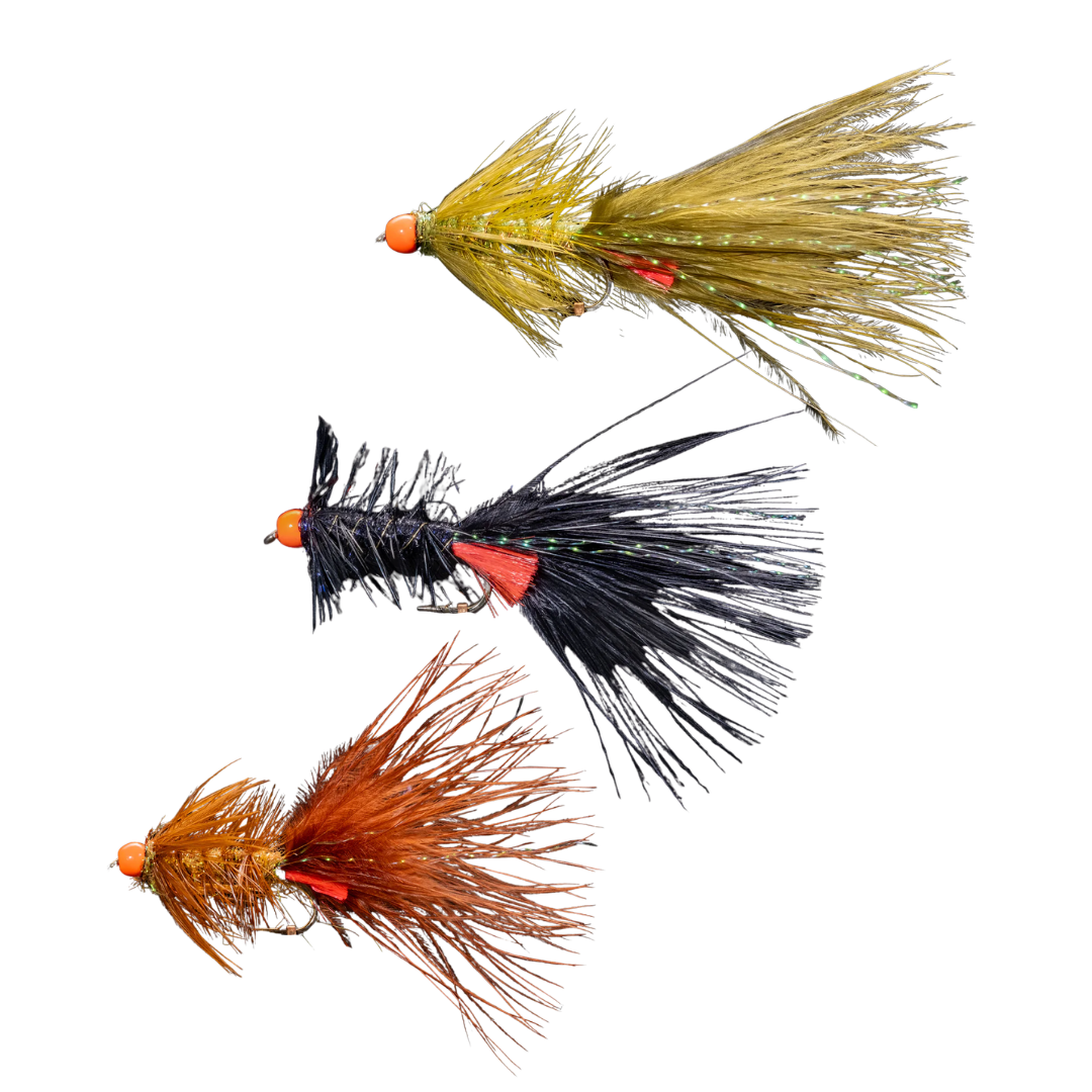 Rene's OTB Skinny Bugger #8 - Manic Fly Collection