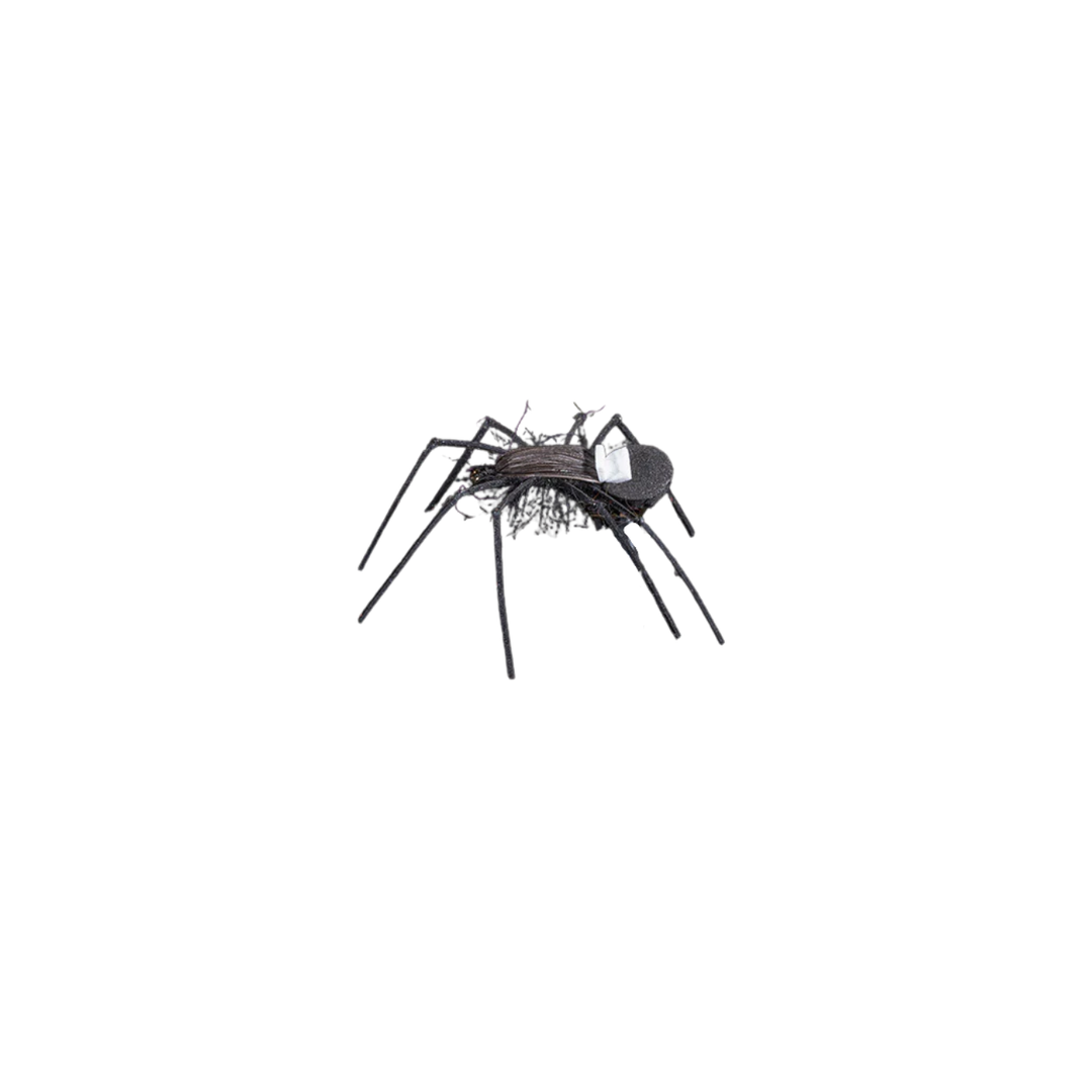 Russell's Spider #8 - Manic Fly Collection