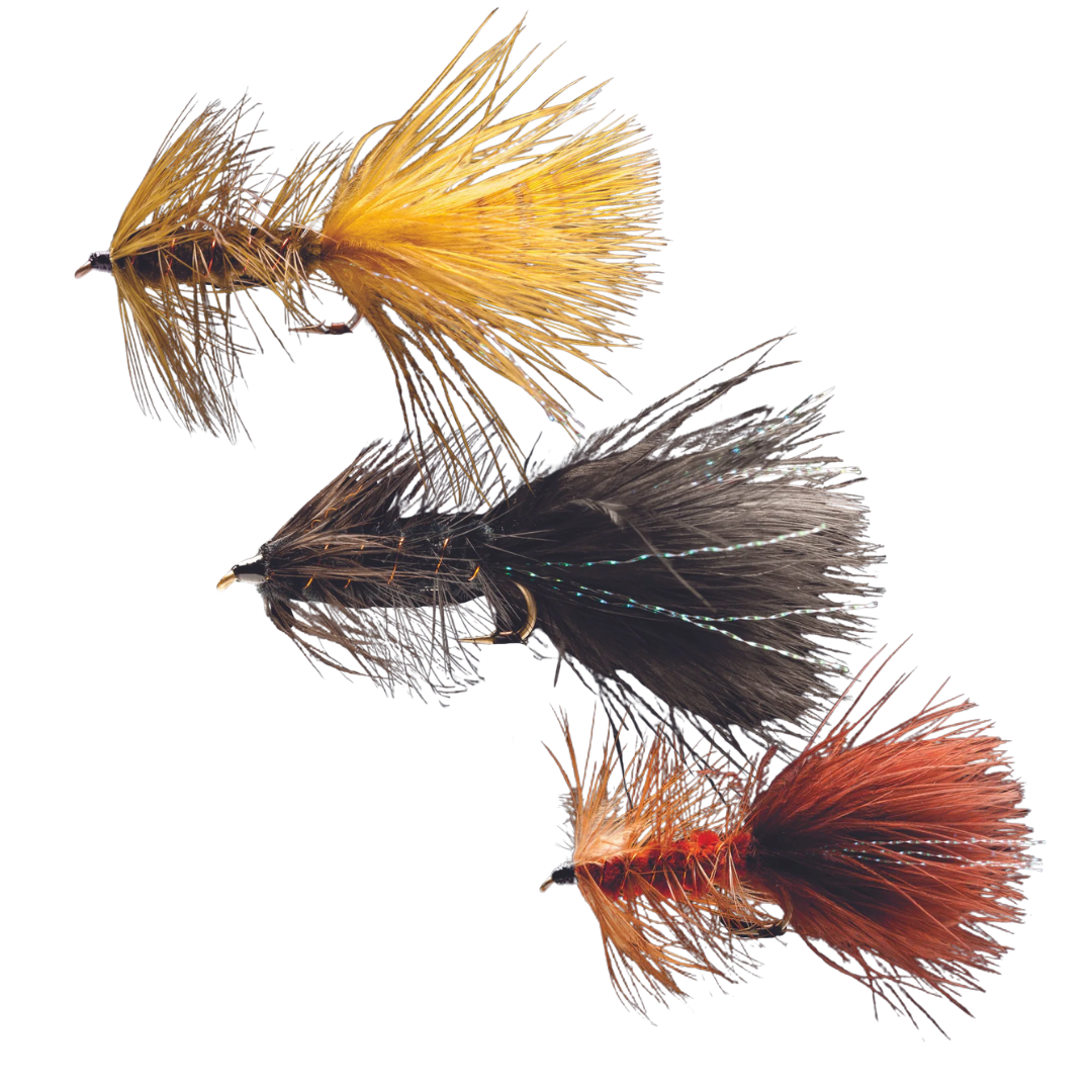 Woolly Bugger #8 - Manic Fly Collection