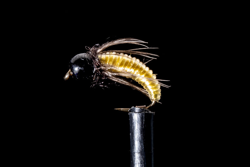 Fly fishing lure with yellow body and black head on a black background