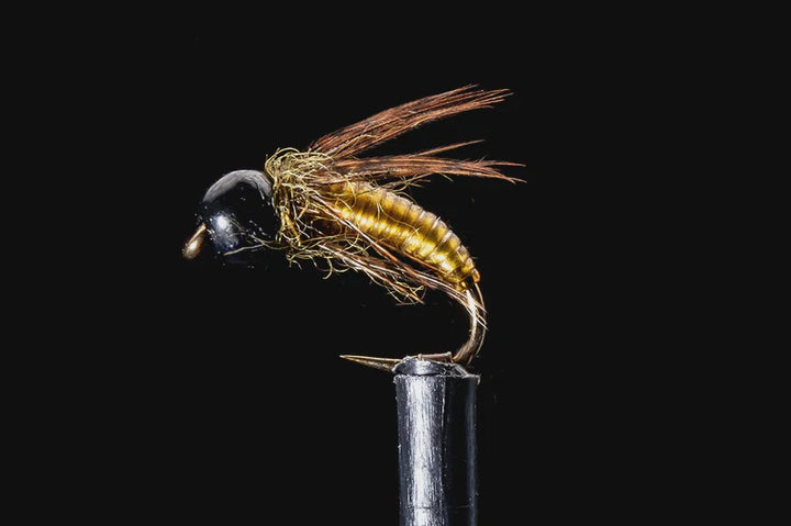 Manic Fly - Clearwater Caddis (1/2 DOZEN)