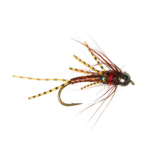 Category 3 Fly Company - Doshed Up
