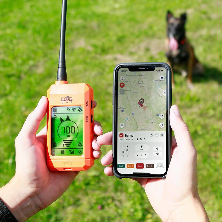 Dog Trace DOG GPS X30T Orange GPS Tracking & Training System - 1 Collar incl.
