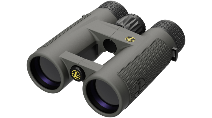 Leupold BX-4 Pro Guide HD 10x42 Binoculars